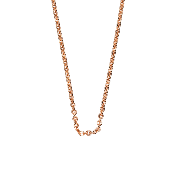 <img class="imgprod" src="https://www.rietz.ch/wp-content/uploads/2021/04/mother-daueghter.jpg">Collier RG 750 Ankergeflecht