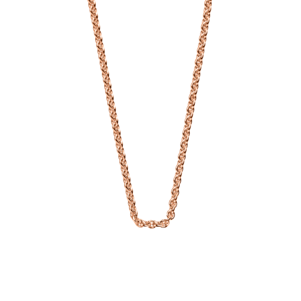 <img class="imgprod" src="https://www.rietz.ch/wp-content/uploads/2021/04/mother-daueghter.jpg">Collier RG 750 Ankergeflecht